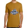 Unisex Cotton Tee Thumbnail