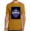 Unisex Cotton Tee Thumbnail