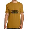 Unisex Cotton Tee Thumbnail