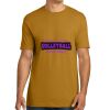 Unisex Cotton Tee Thumbnail